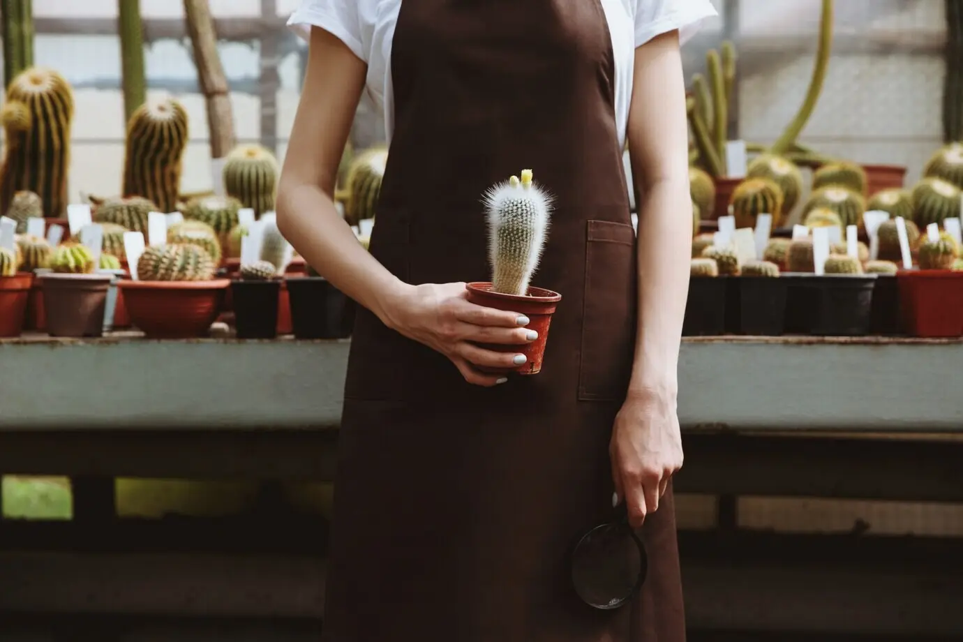 A cropped photo of a young woman standing in a greenhouse.